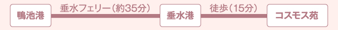 「鴨池港」から「垂水港」まで：垂水フェリーで約35分　「垂水港」から「コスモス苑」まで：徒歩で約15分