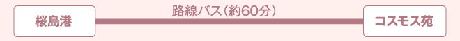 「桜島港」から「コスモス苑」まで：路線バスで約60分